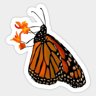 Monarch Butterfly Sticker